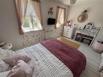 Picture 11